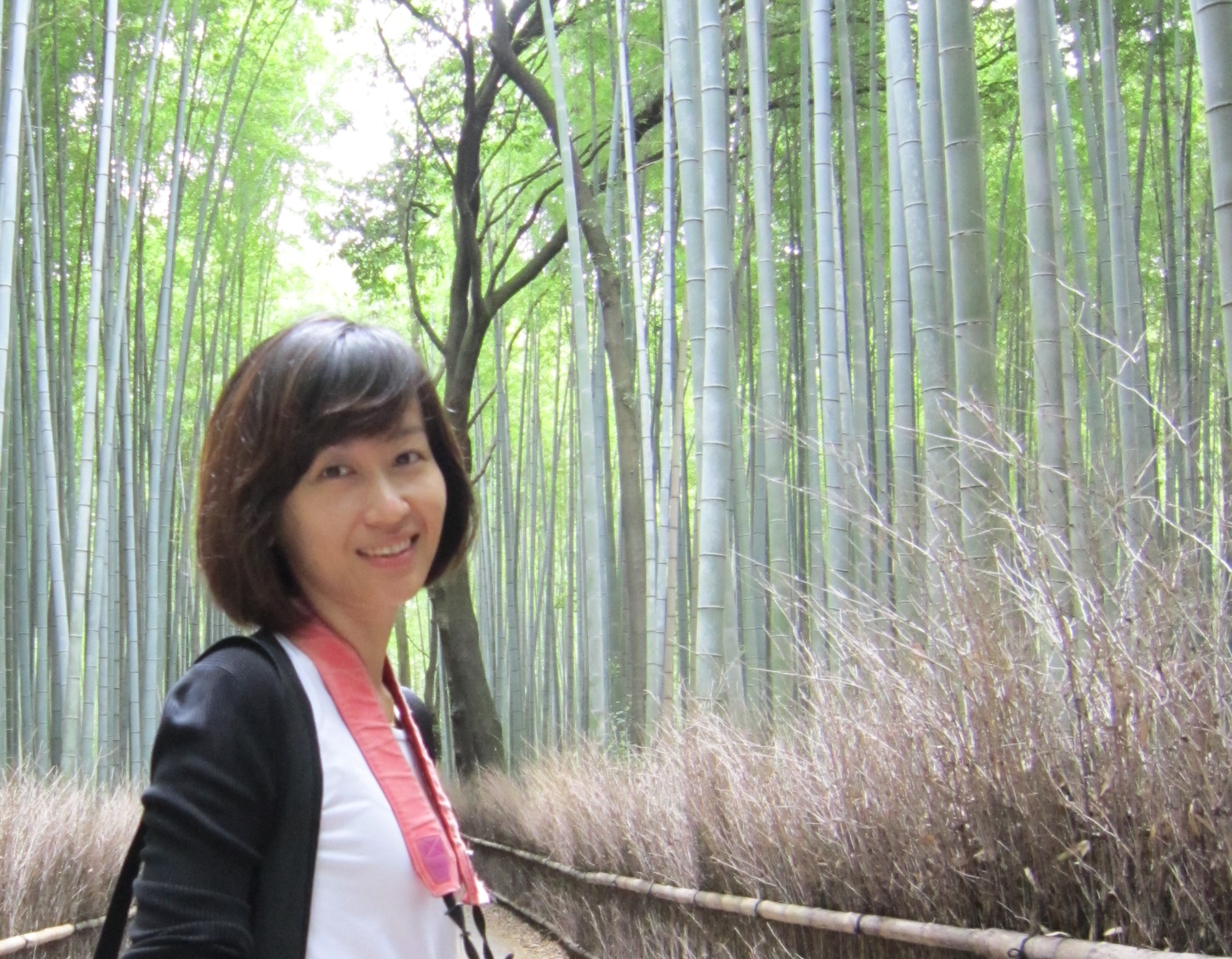 Chen, shu-yin